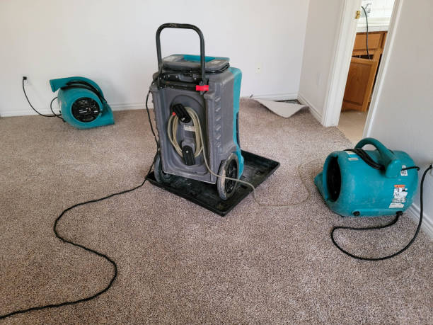 Best Carpet water damage restoration  in Duncansville, PA