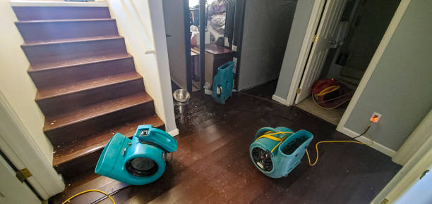 Best Flood restoration services  in Duncansville, PA