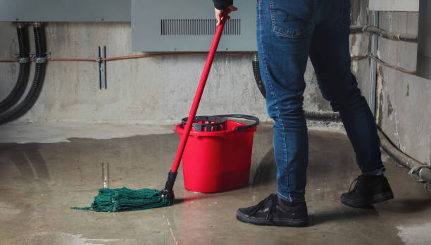Best 24/7 water damage repair  in Duncansville, PA