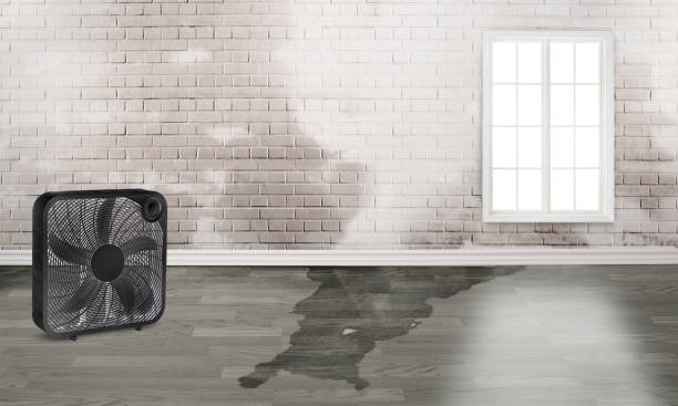 Professional Water damage restoration in Duncansville, PA