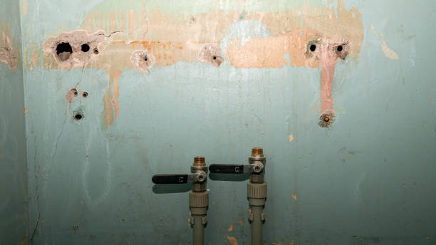 Best Water damage restoration insurance claims  in Duncansville, PA