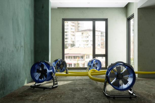 Best Water damage restoration services  in Duncansville, PA