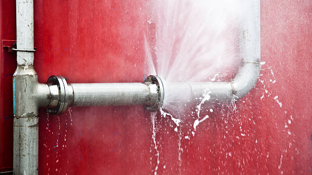Best Flood restoration services  in Duncansville, PA